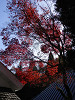pb120949_thumb.jpg