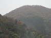 pb131086_thumb.jpg