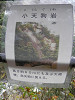 pb151143_thumb.jpg
