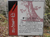 pb151190_thumb.jpg
