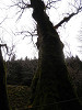 pb151197_thumb.jpg