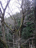 pb151204_thumb.jpg