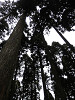 pb191558_thumb.jpg