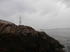 p3300071_thumb.jpg