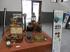 p3300098_thumb.jpg