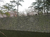 p3300119_thumb.jpg