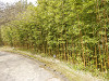 p3300140_thumb.jpg