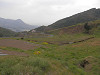 p3300150_thumb.jpg
