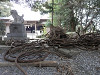 p3300161_thumb.jpg