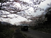 p3300165_thumb.jpg