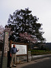 p3310182_thumb.jpg