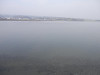p3310186_thumb.jpg