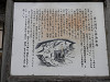 p3310241_thumb.jpg