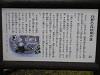 p4010308_thumb.jpg