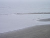 p4010310_thumb.jpg