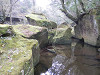 p4020382_thumb.jpg