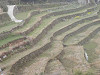 p4020408_thumb.jpg