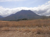 p4020427_thumb.jpg