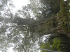 p4030555_thumb.jpg