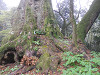 p4030558_thumb.jpg