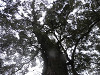 p4030561_thumb.jpg