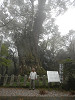 p4030563_thumb.jpg