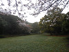 p4030584_thumb.jpg