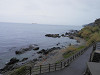 p4030601_thumb.jpg
