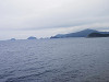 p4040684_thumb.jpg