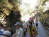 p4050780_thumb.jpg
