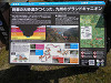 p4050806_thumb.jpg