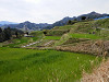 p4050818_thumb.jpg