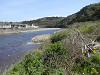 p4050838_thumb.jpg