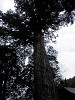 p4060883_thumb.jpg