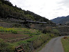 p4060895_thumb.jpg