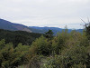 p4060927_thumb.jpg