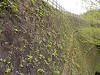 p4060937_thumb.jpg