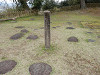 p4060949_thumb.jpg