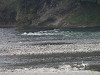 p4060994_thumb.jpg