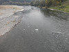 p4060997_thumb.jpg