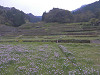 p4061001_thumb.jpg
