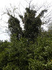 p4091259_thumb.jpg