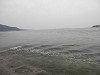 p4101335_thumb.jpg