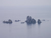 p4101379_thumb.jpg