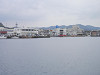 p4101417_thumb.jpg