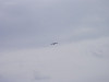 p4101425_thumb.jpg