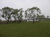 p4111457_thumb.jpg