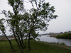 p4111459_thumb.jpg