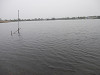 p4111462_thumb.jpg