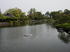 p4111504_thumb.jpg